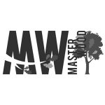 Logo MasterWood