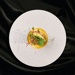 vignette shootin photo plat restaurant la madeleine