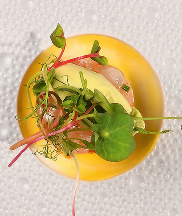 Assiette gastronomique vue de face